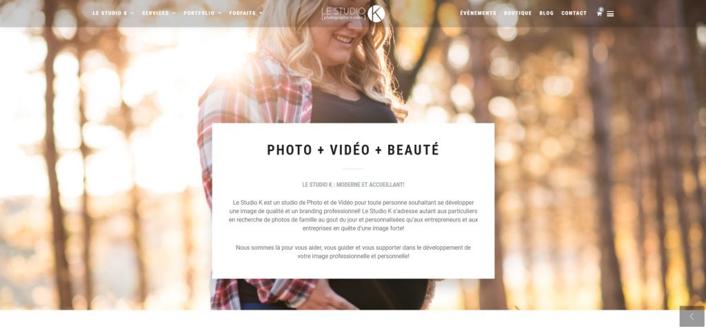 Agence Seo